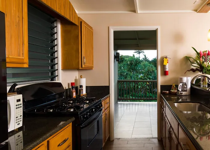 Hana Kai Maui - #4 Nanuʻalele Oceanfront 1 Br